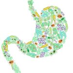 Can Exercise Change Your Gut Microbiome • Cathe Friedrich1
