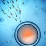 Poor semen quality causing infertility in industrialised countries e1618787321376