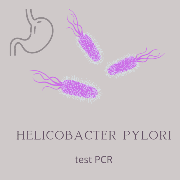 H. pylori PCR