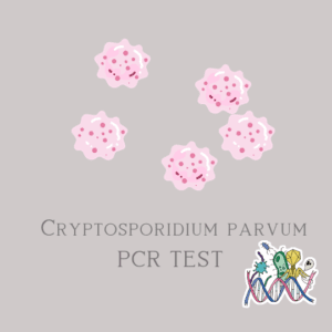 Cryptosporidium parvum PCR