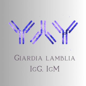 Giardia lamblia IgM+ IgG