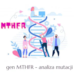 gen MTHFR analiza mutacji